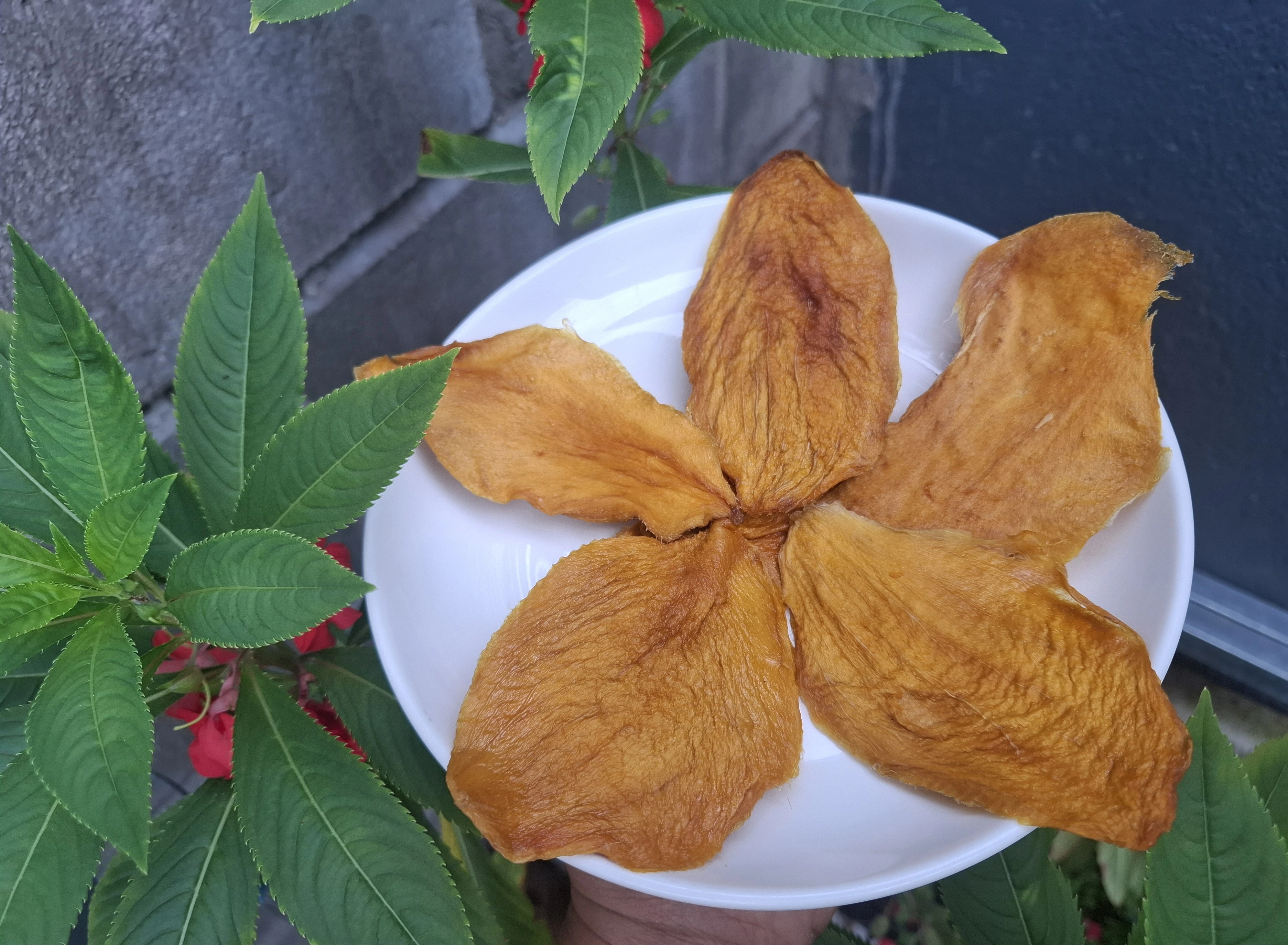 Premium dried mango no added sugar